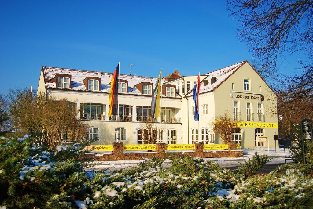 Hotel Goldener Fasan Oranienbaum-Woerlitz Exterior foto