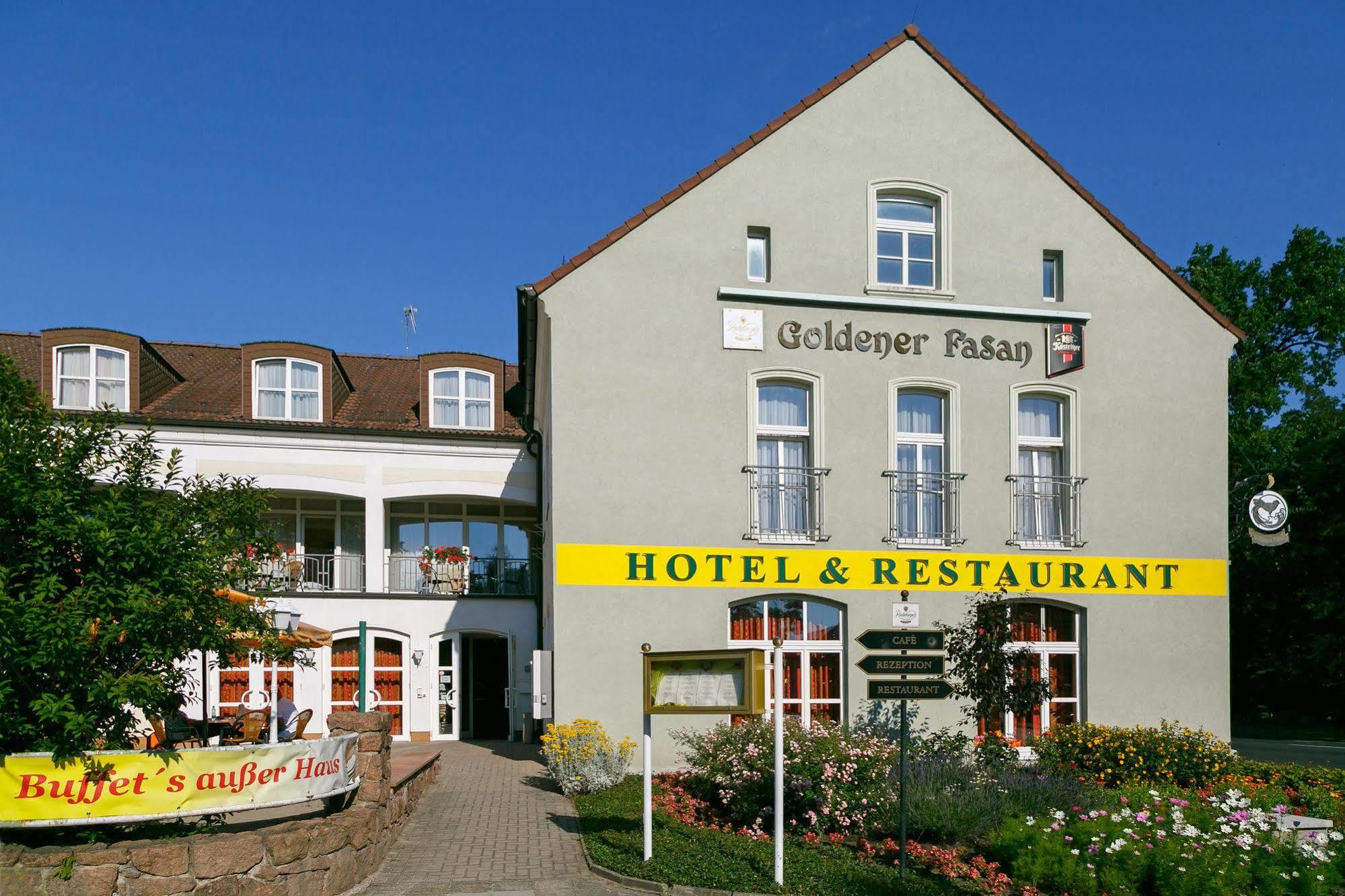 Hotel Goldener Fasan Oranienbaum-Woerlitz Exterior foto